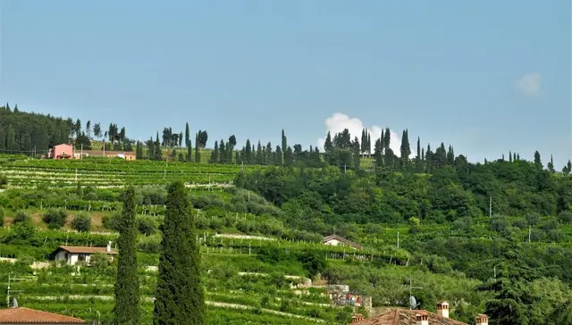 ALT B&amp;B in the heart of Valpolicella