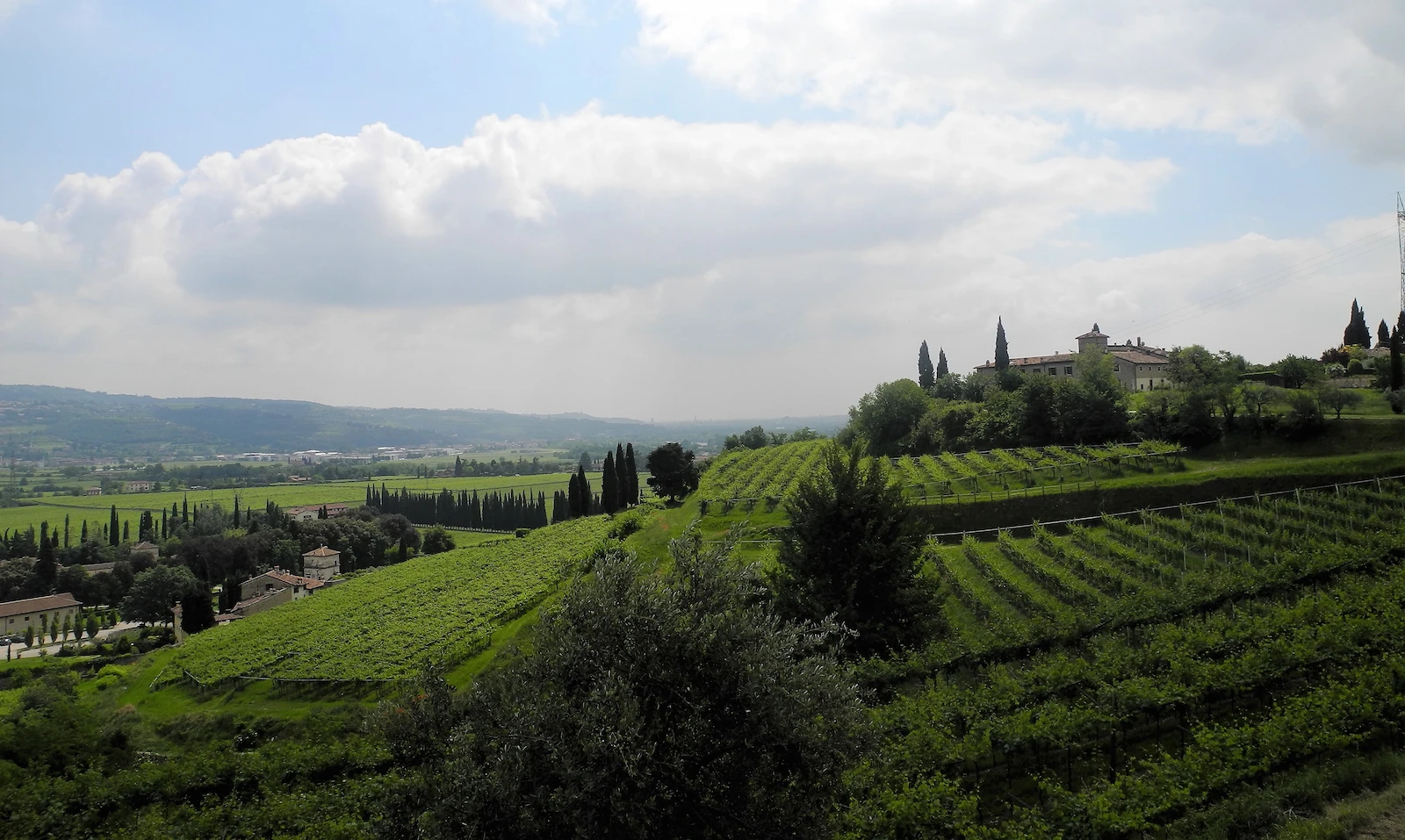 Alt valpolicella b&amp;b
