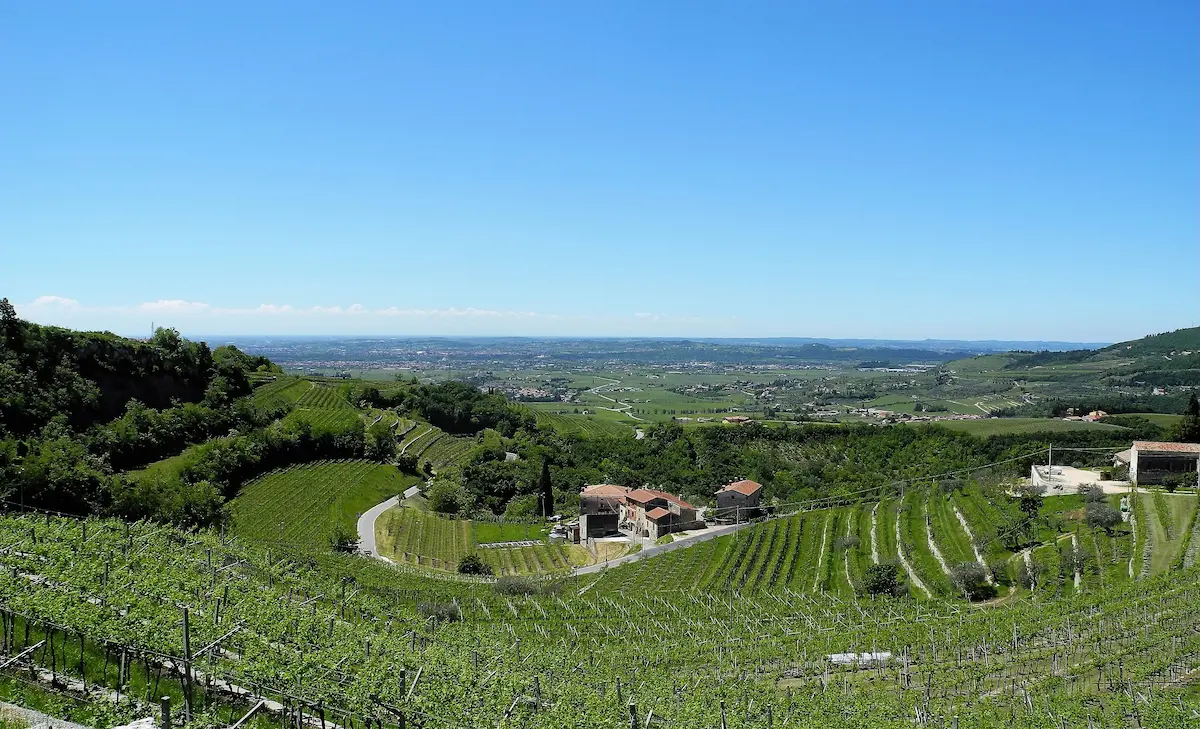 vista vigneti sulle colline della Valpolicella
