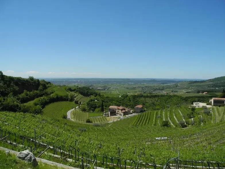View of vineyards on the hills of Valpolicella