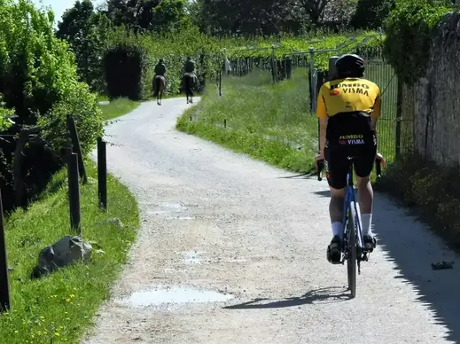 Ciclista su strada panoramica tra i vigneti della Valpolicella