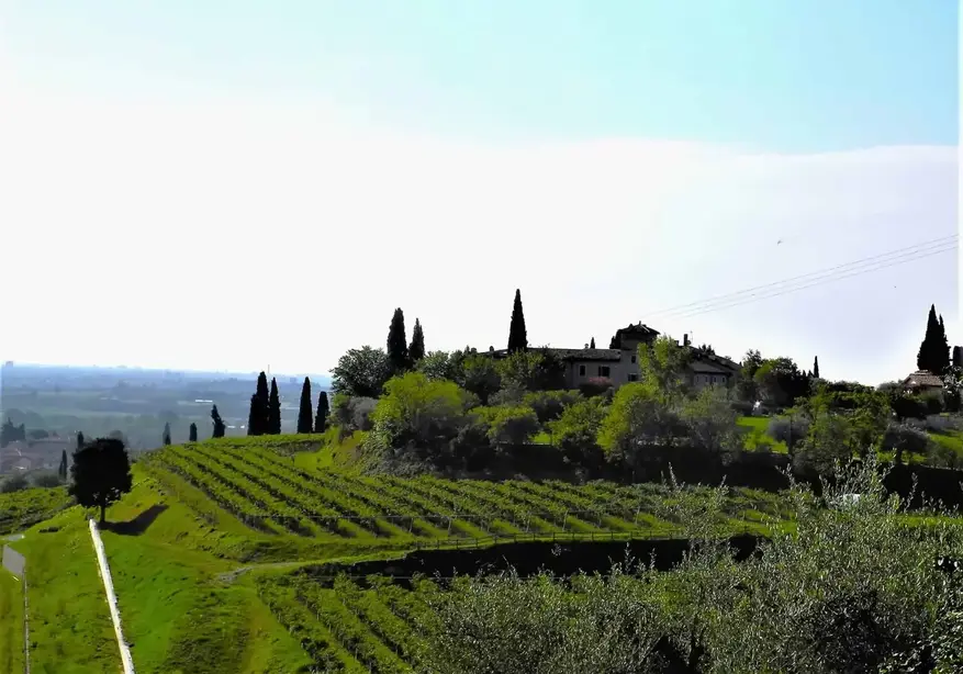 Itinéraires Valpolicella Colline de Castelrotto avec des vignobles
